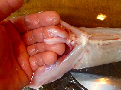 s-PA052097
