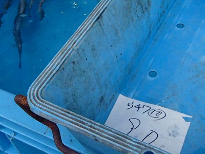 s-PA072198