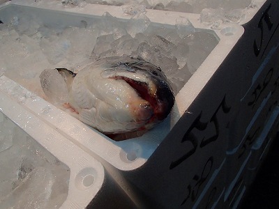 s-P1070317