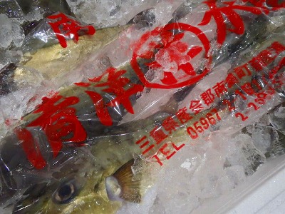 s-P9076538