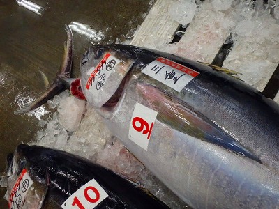s-PB300456