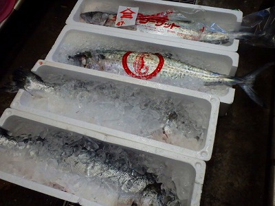s-PC020040