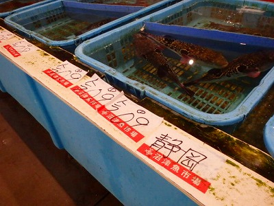 s-PC040074