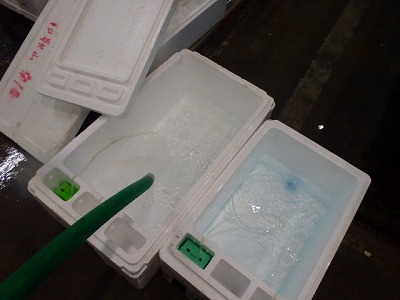 s-PC040090