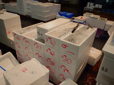 s-PC070055