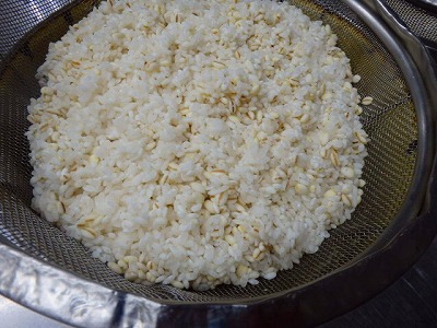 s-P5020053