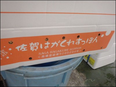 s-PA070252
