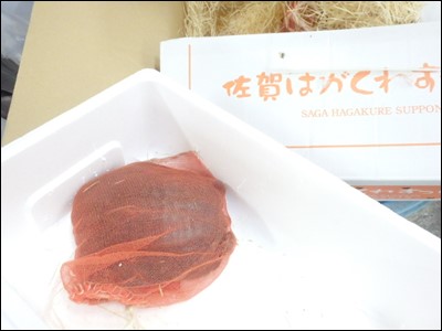 s-PA070253