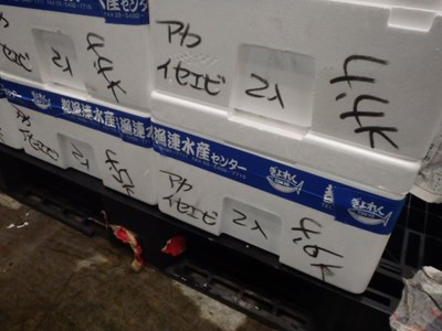 s-PB100265