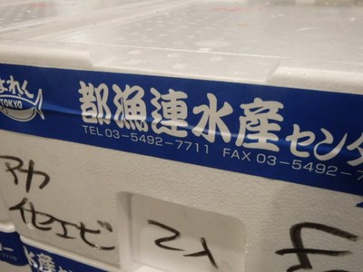 s-PB100266