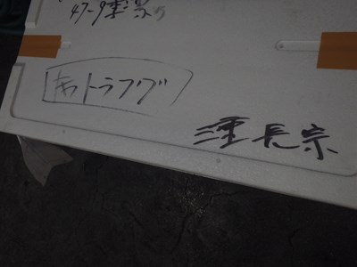 s-P2140350