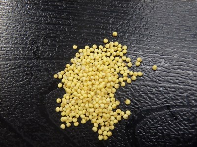 s-P3140095