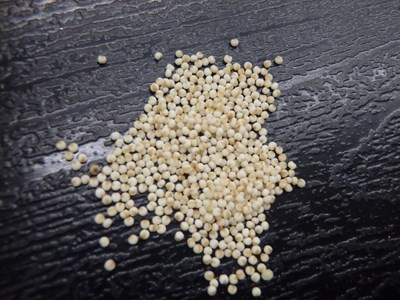 s-P3140097