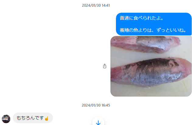 画像に alt 属性が指定されていません。ファイル名: image-22.png