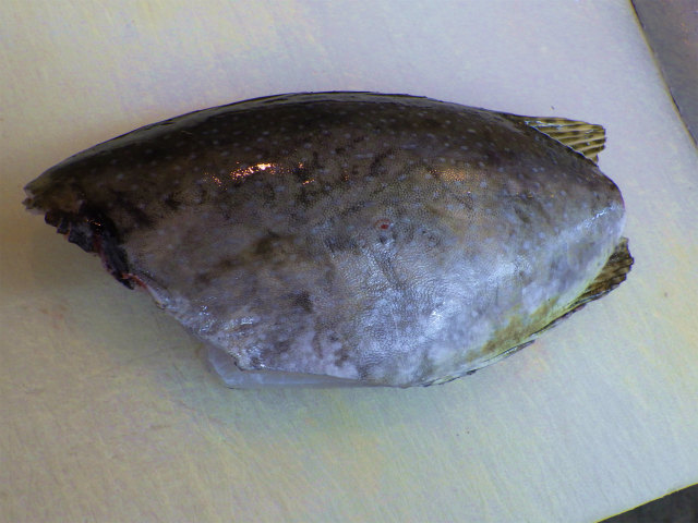 画像に alt 属性が指定されていません。ファイル名: sRIMG6847.jpg