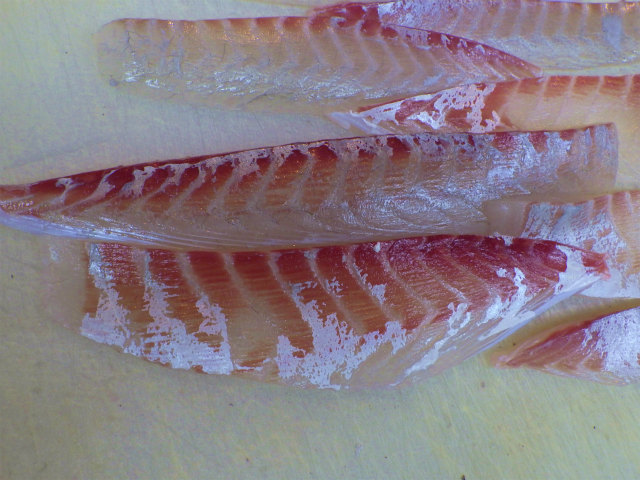 画像に alt 属性が指定されていません。ファイル名: sRIMG6851.jpg