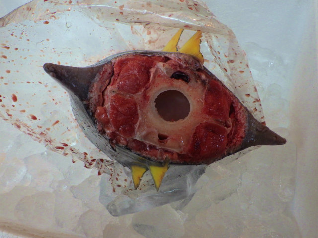 画像に alt 属性が指定されていません。ファイル名: sRIMG6840.jpg