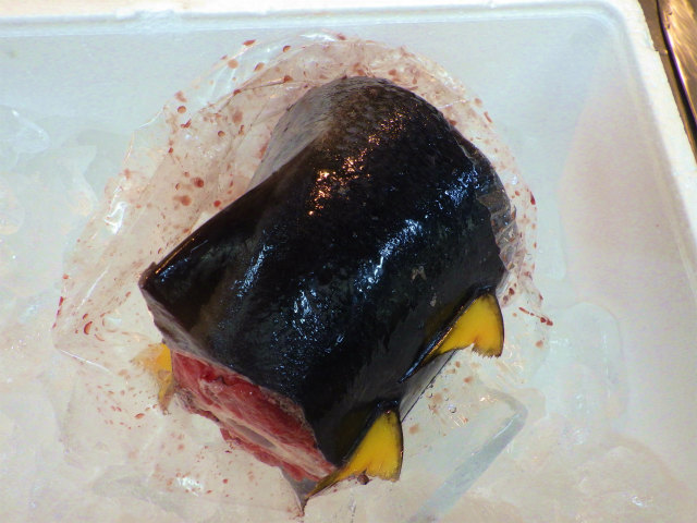 画像に alt 属性が指定されていません。ファイル名: sRIMG6841.jpg