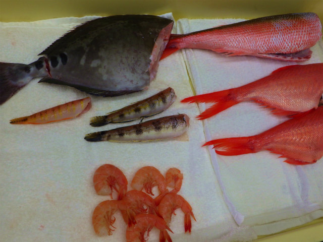 画像に alt 属性が指定されていません。ファイル名: sRIMG8337.jpg