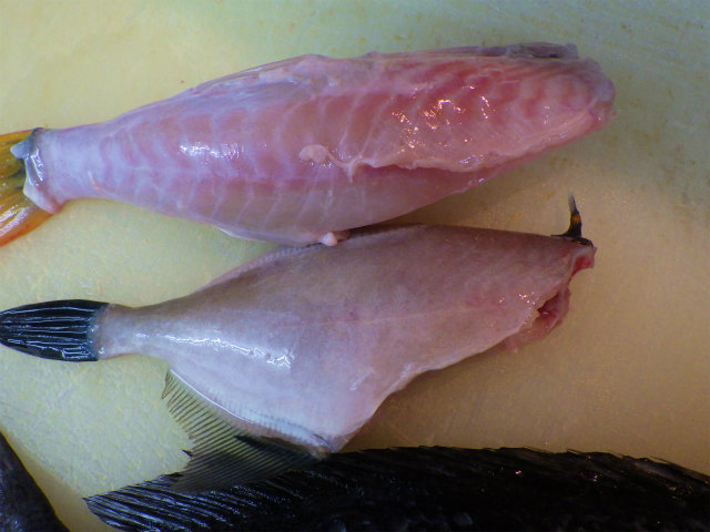 画像に alt 属性が指定されていません。ファイル名: sRIMG8604.jpg