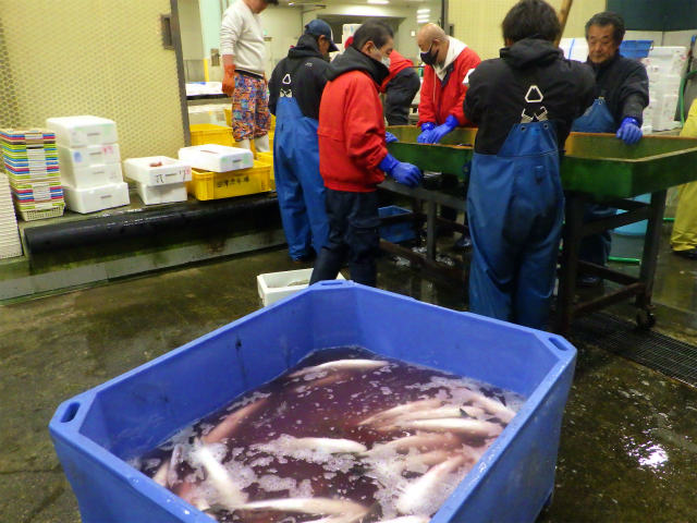 画像に alt 属性が指定されていません。ファイル名: sRIMG8988.jpg