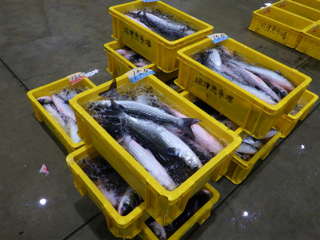 画像に alt 属性が指定されていません。ファイル名: sRIMG8998.jpg