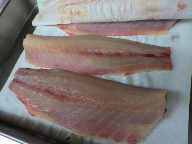 画像に alt 属性が指定されていません。ファイル名: sRIMG9038.jpg