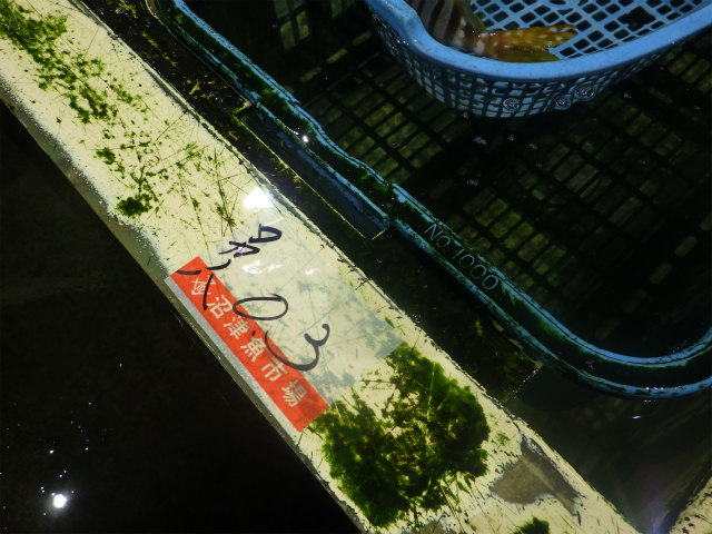 画像に alt 属性が指定されていません。ファイル名: sRIMG0055-1.jpg