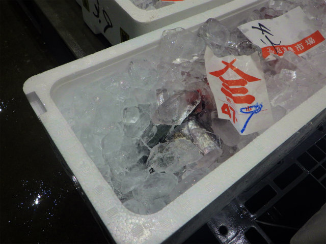 画像に alt 属性が指定されていません。ファイル名: sRIMG0097.jpg