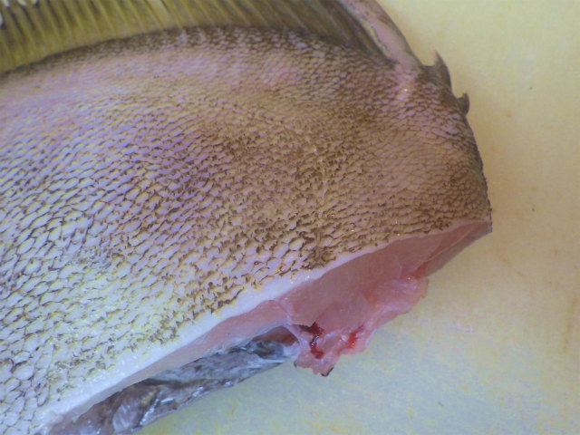 画像に alt 属性が指定されていません。ファイル名: sRIMG0174.jpg