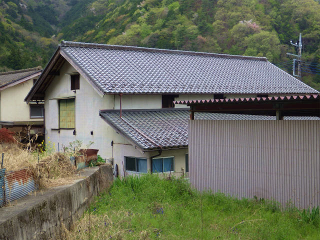 画像に alt 属性が指定されていません。ファイル名: sRIMG8410.jpg