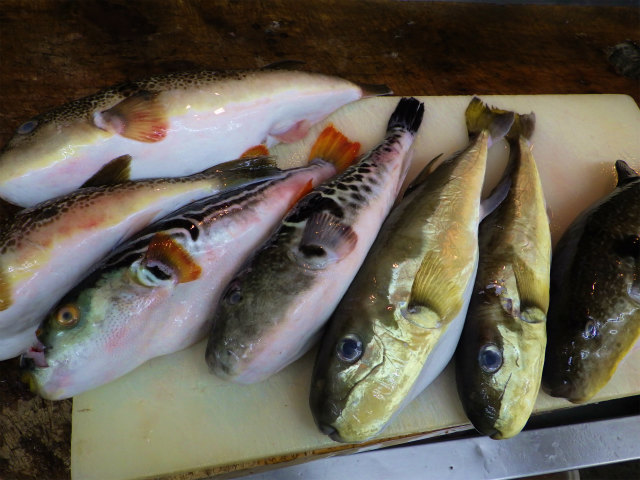 画像に alt 属性が指定されていません。ファイル名: sRIMG8546.jpg