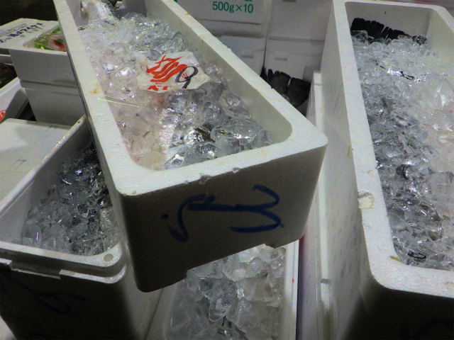 画像に alt 属性が指定されていません。ファイル名: sRIMG9319.jpg