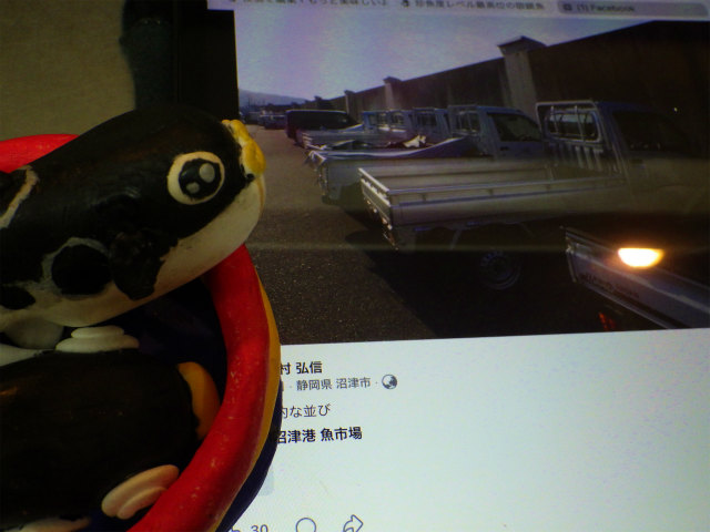 画像に alt 属性が指定されていません。ファイル名: sRIMG8638.jpg
